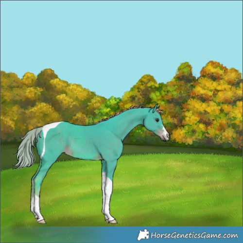 Horse Color:Watercolor Liver Chestnut Tobiano Rabicano 