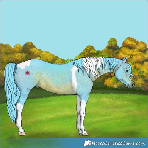 Horse Color:Watercolor Brown Tobiano Rabicano 