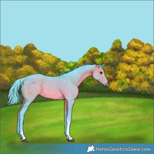 Horse Color:Watercolor Brown Tobiano Rabicano 
