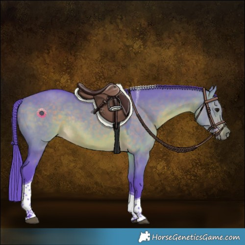 Horse Color:Watercolor Brown Dun Tobiano Rabicano