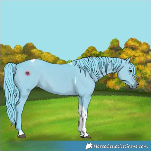 Horse Color:Watercolor Black Tobiano Rabicano 