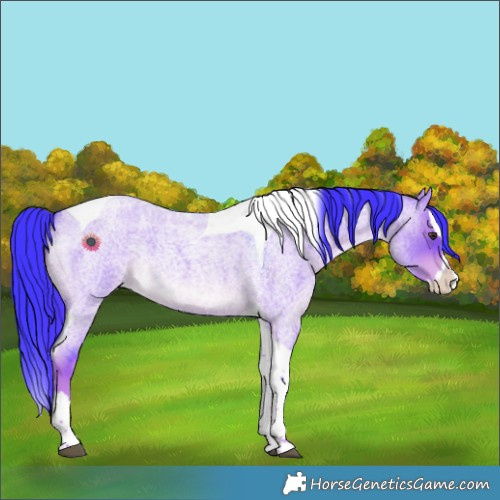 Horse Color:Watercolor Liver Red Dun Roan Splash Tobiano Rabicano 