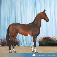 Horse Color:Bay Tobiano 