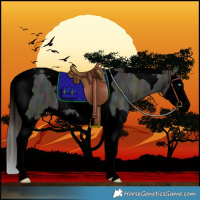 Horse Color:Void Midnight Buckskin Ice Splash Tobiano