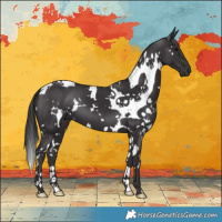 Horse Color:White Spotted Smoky Black 