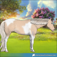 Horse Color:Cremello Tobiano