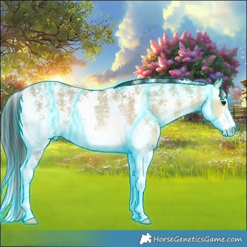 Horse Color:Thunderstruck Buckskin Ice Dun Sabino 