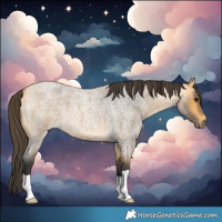 Horse Color:Buckskin Roan 