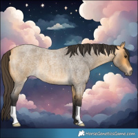 Horse Color:Buckskin Roan 