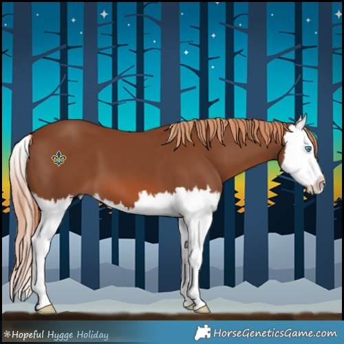 Horse Color:Chestnut Splash 