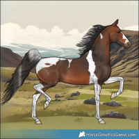 Horse Color:Bay Tobiano 