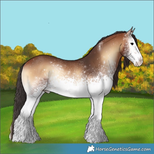 Horse Color:White Spotted Bay Onyx Rabicano 