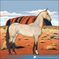 Horse Color:Buckskin Roan