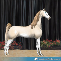 Horse Color:Buckskin Pearl Dun Splash Frame 