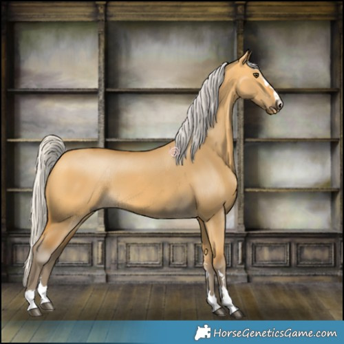 Horse Color:Silver Buckskin Dun 