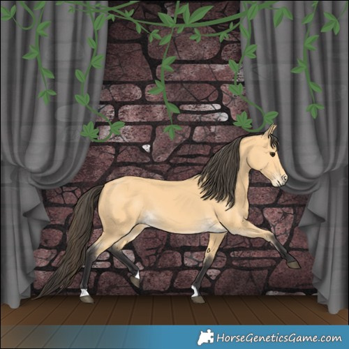 Horse Color:Buckskin 