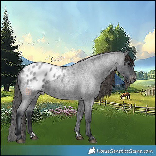 Horse Color:Blue Roan Blanket 