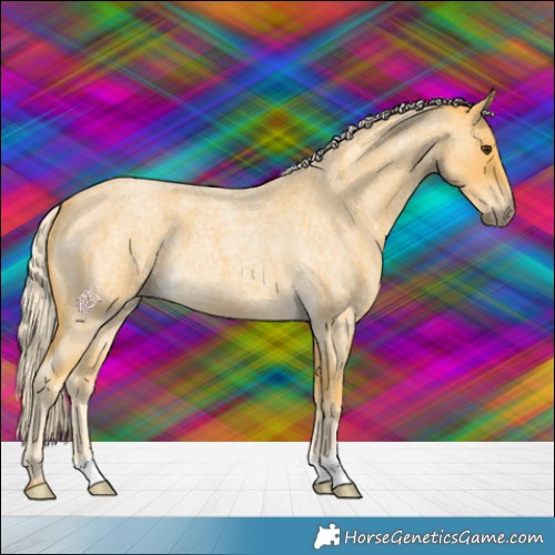 Horse Color:Palomino Roan