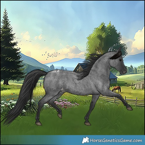 Horse Color:Blue Roan Varnish