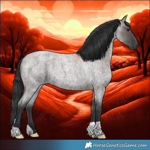 Horse Color:Grullo Roan