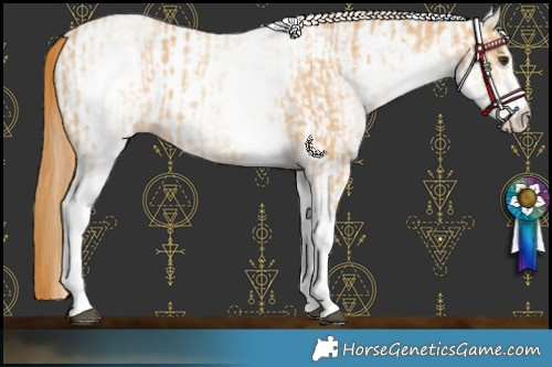 Horse Color:White Spotted Red Dun Rabicano  and White Spotted Red Dun Rabicano 