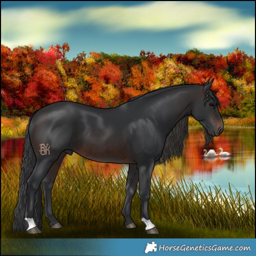 Horse Color:Brown 