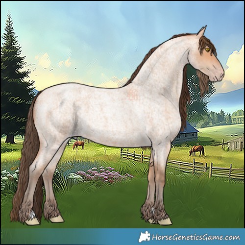 Horse Color:Amber Champagne Roan