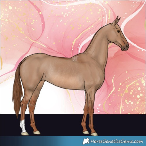 Horse Color:Red Dun Rabicano