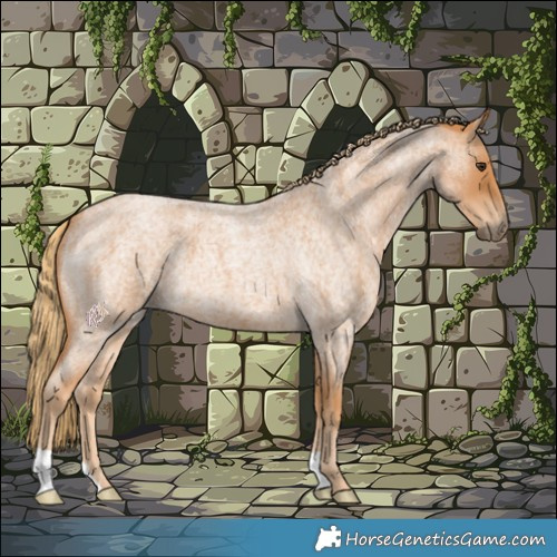 Horse Color:Red Roan 