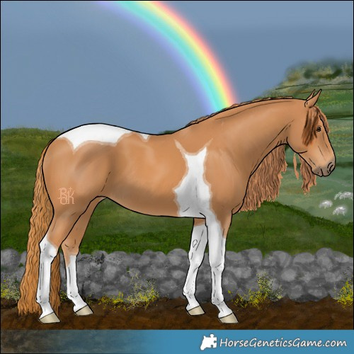 Horse Color:Chestnut Tobiano 