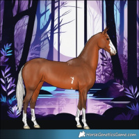 Horse Color:Silver Brown 
