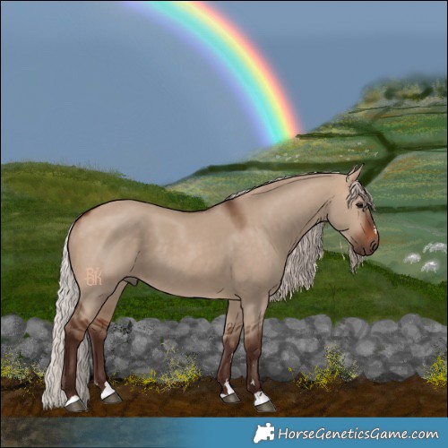 Horse Color:Silver Brown Dun