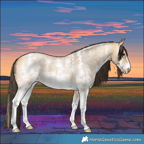 Horse Color:Buckskin Roan Sabino
