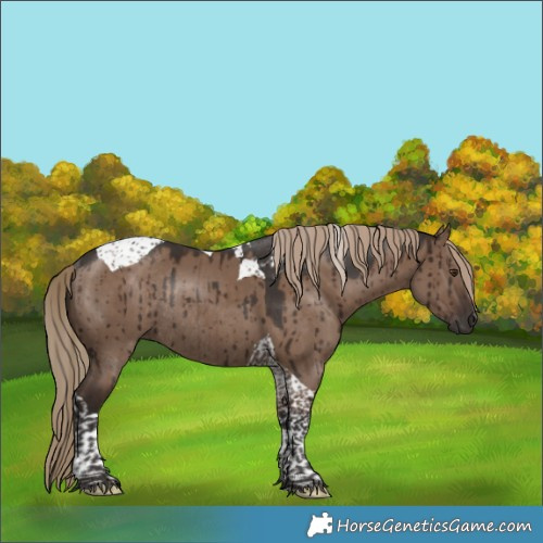 Horse Color:Liver Red Dun Tobiano Rabicano Brindle 