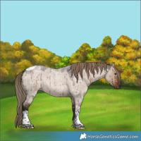 Horse Color:Liver Red Dun Roan Tobiano Rabicano Brindle 