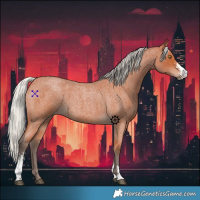 Horse Color:Silver Bay Roan Sabino