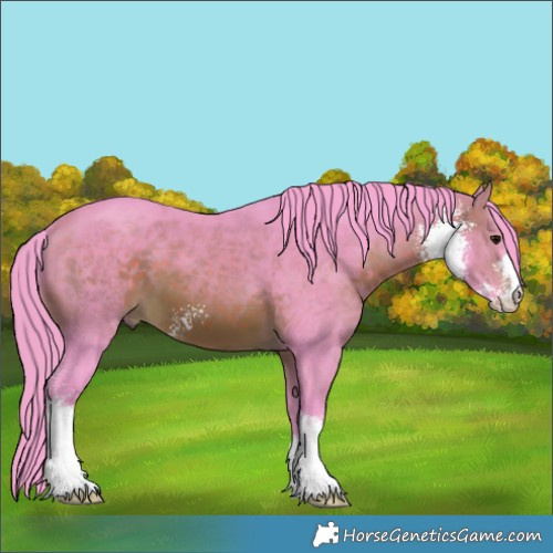 Horse Color:Watercolor Brown Sabino 