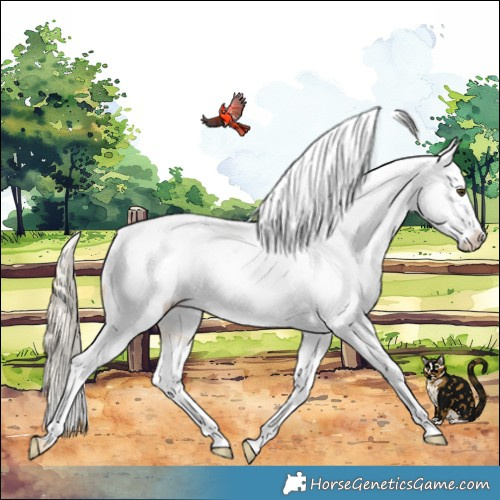 Horse Color:Palomino Dun Varnish 