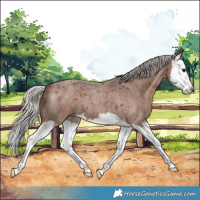 Horse Color:Silver Blue Roan Splash 