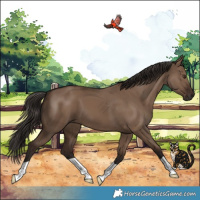 Horse Color:Liver Red Dun 
