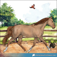 Horse Color:Red Dun 