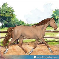 Horse Color:Red Dun 