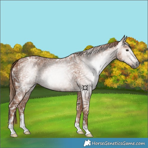 Horse Color:Gray Chestnut Ice 