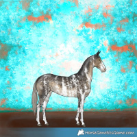 Horse Color:Silver Smoky Black Sabino Rabicano 