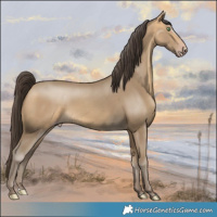 Horse Color:Sable Cream Champagne 
