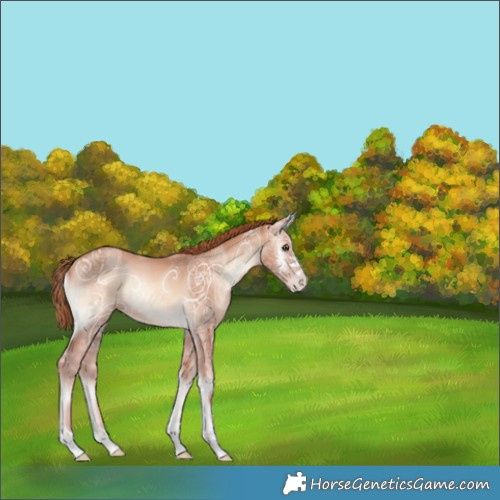 Horse Color:Gold Champagne Ice Onyx