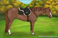 Horse Color:Chestnut Sabino