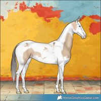 Horse Color:Bay Dun Splash Tobiano 