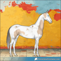Horse Color:Bay Dun Splash Tobiano