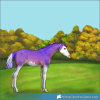 Horse Color:Watercolor Brown Splash